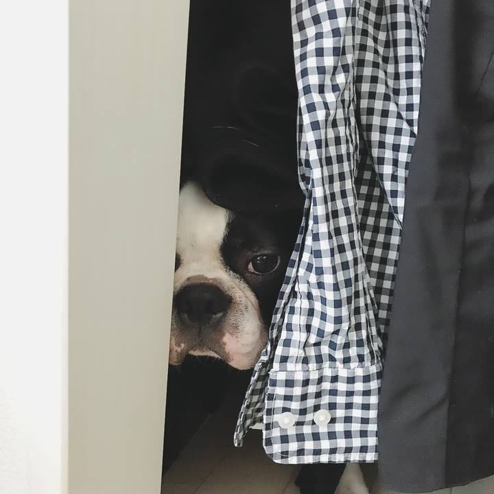 11809224 5498 42b2 94d9 aee3f3f31a29