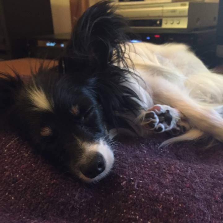 1180f0c0 63db 4b17 af01 4c1de21caa71