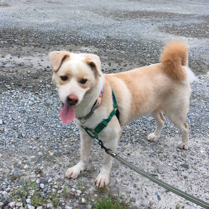 11812555 239c 46fc 86ef 051bae7babca