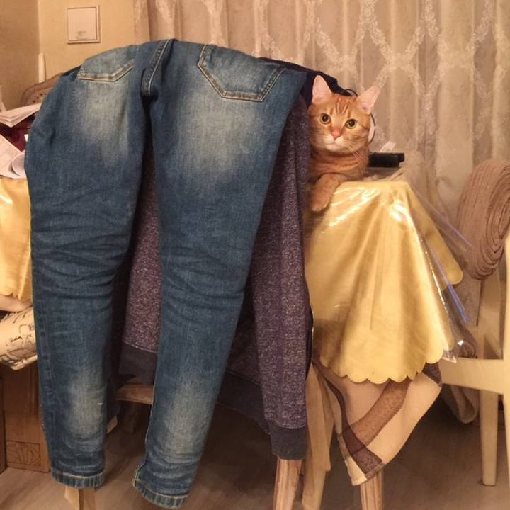 1181aff5 deae 4e51 8bce f364c8aad549