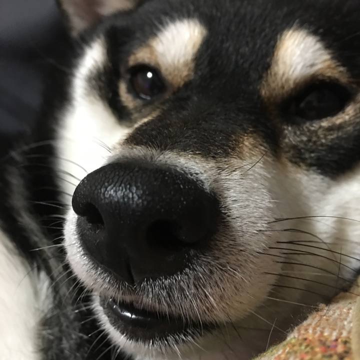 11826dce ffb6 40bf baa8 1d9962749219