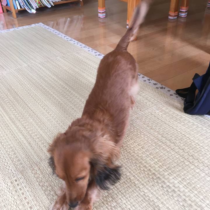 1182896c 5d36 4c9a abde 2e3dcd158309