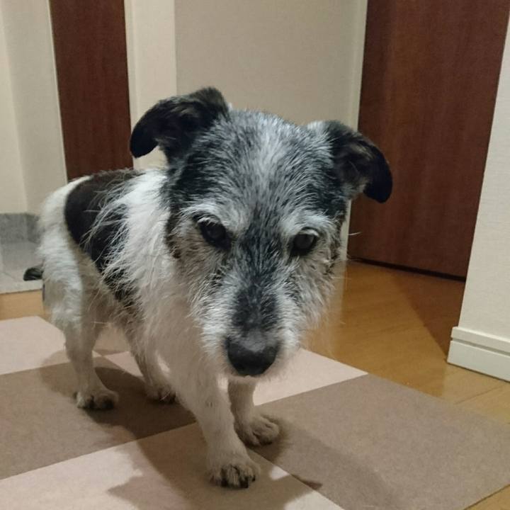 11829469 af42 45c5 b5b7 6d97878e52b7