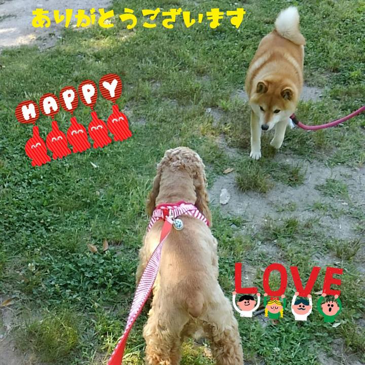 11835a2d be35 4241 8878 7c71db081bf6