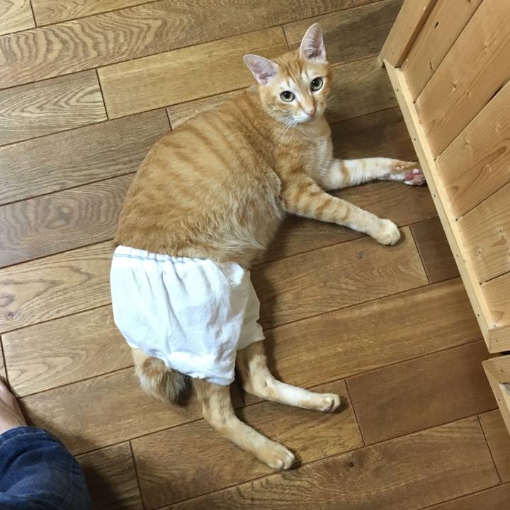 11846c58 e4e9 457b 8b72 3786325bf15f