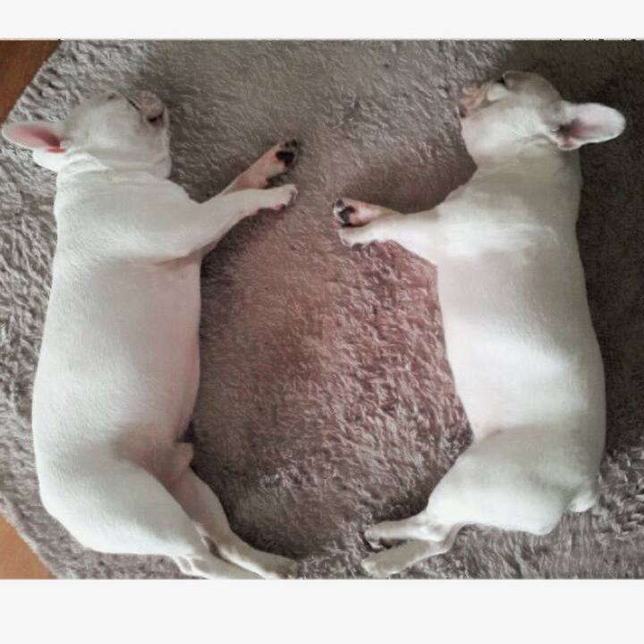 11848ee2 2093 4862 be97 dfad1d605980