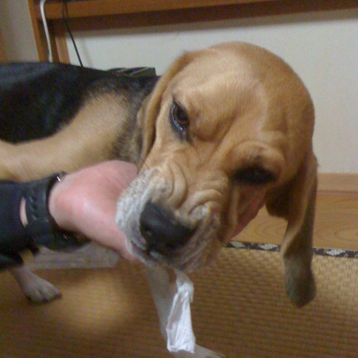 11849eb9 283b 4a34 8bf0 7bb16ec170ce