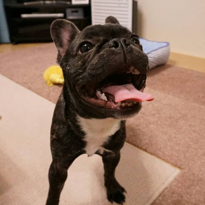 1184b109 3f03 4771 b0a3 540c0c8791b2