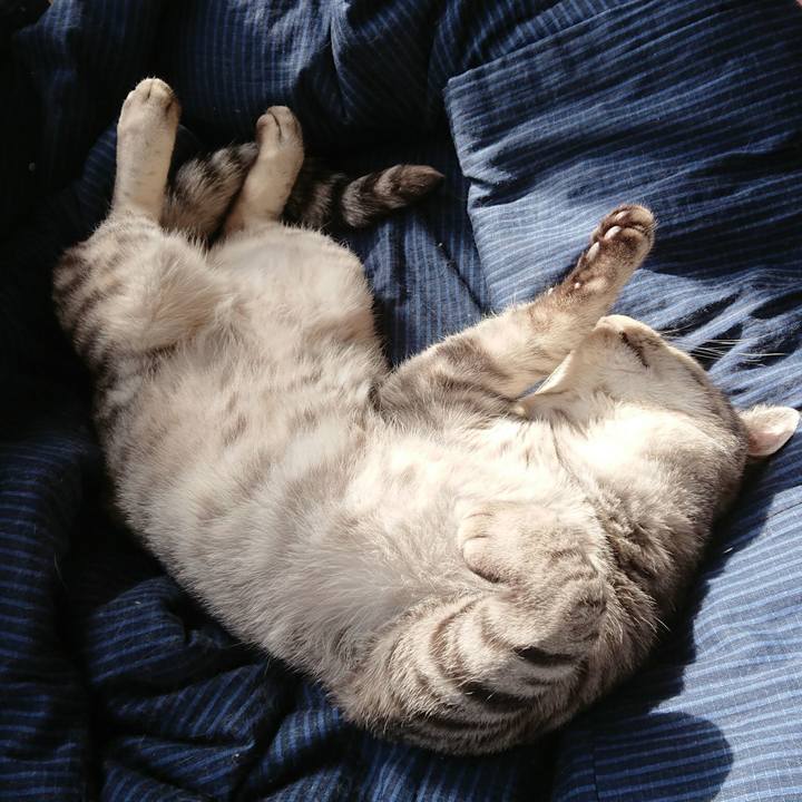 11866fef 9200 4fa4 ae3f 29c3c1575e3a