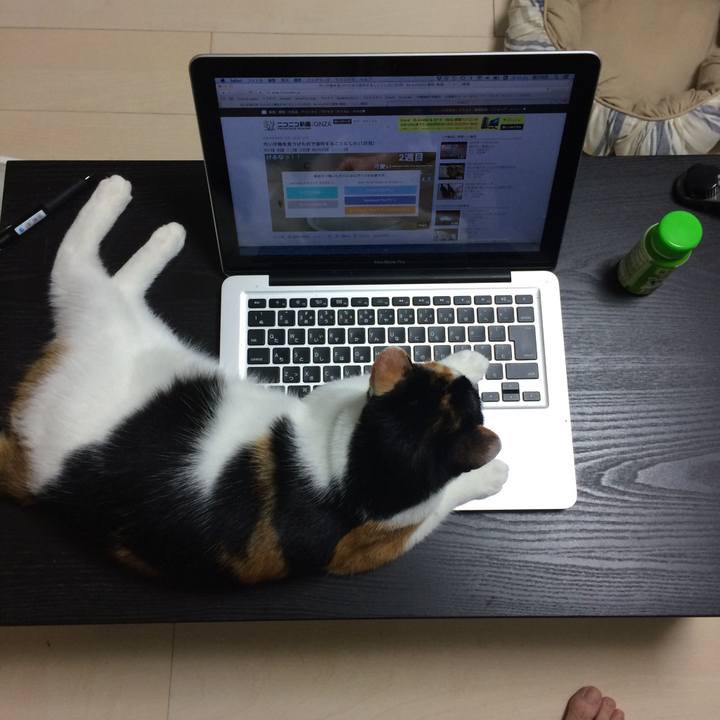 11873419 67dd 4745 8709 66274a741baf