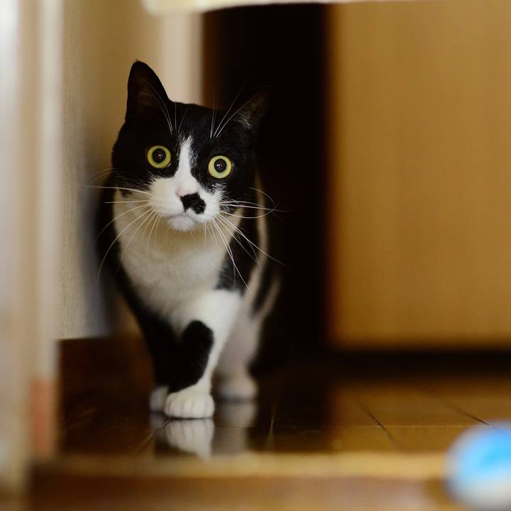 11877232 b1ef 4f6d 81fc 59cecbfe70ab