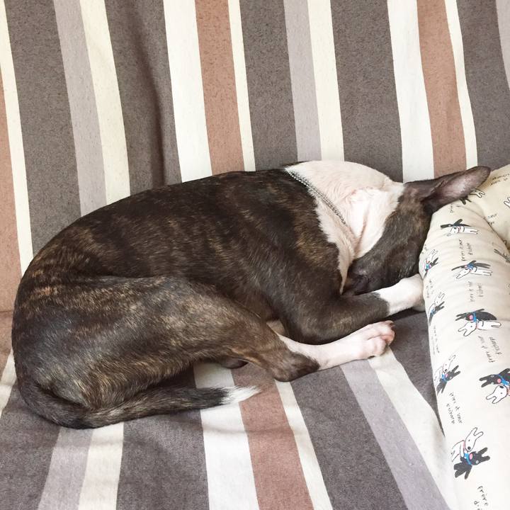 1187b0d0 1071 4fd1 852b 6882ee227ca9