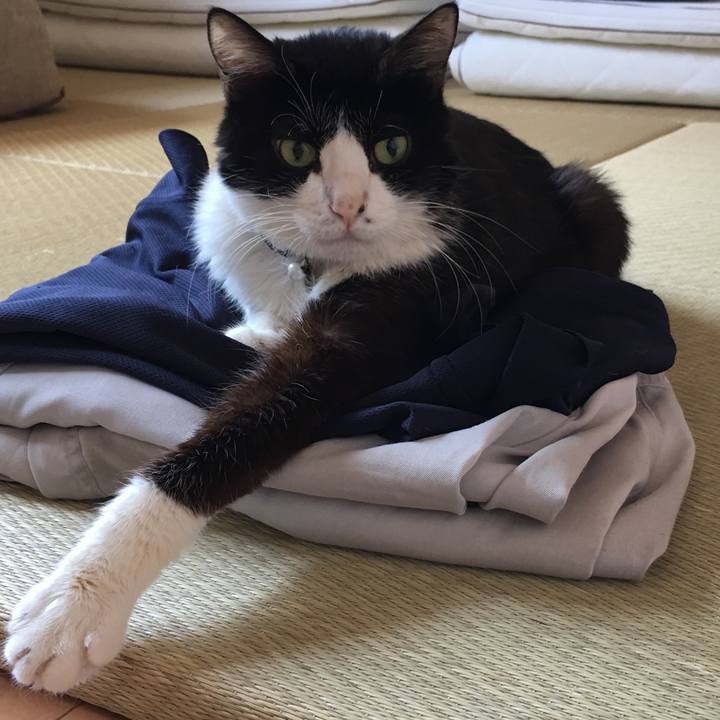 1187c2b5 71f0 4180 9b61 855617a155c4