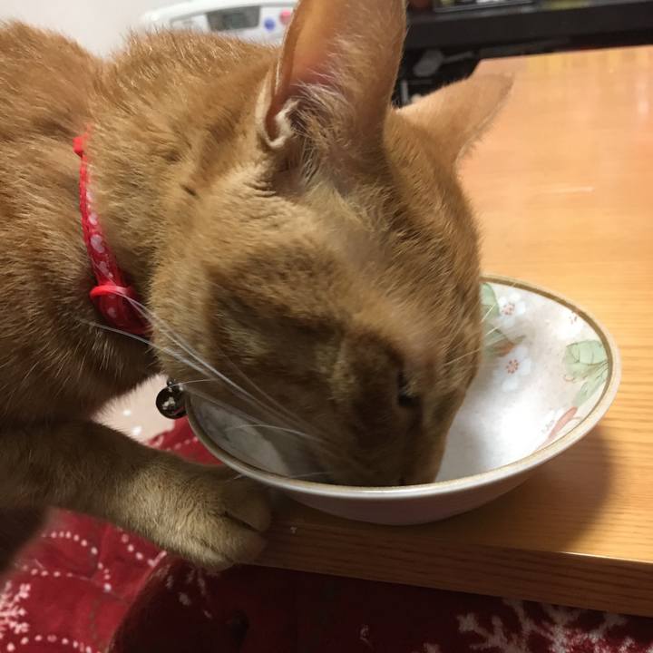 118800d0 1bd2 49f0 8ef5 c6909b9179cc