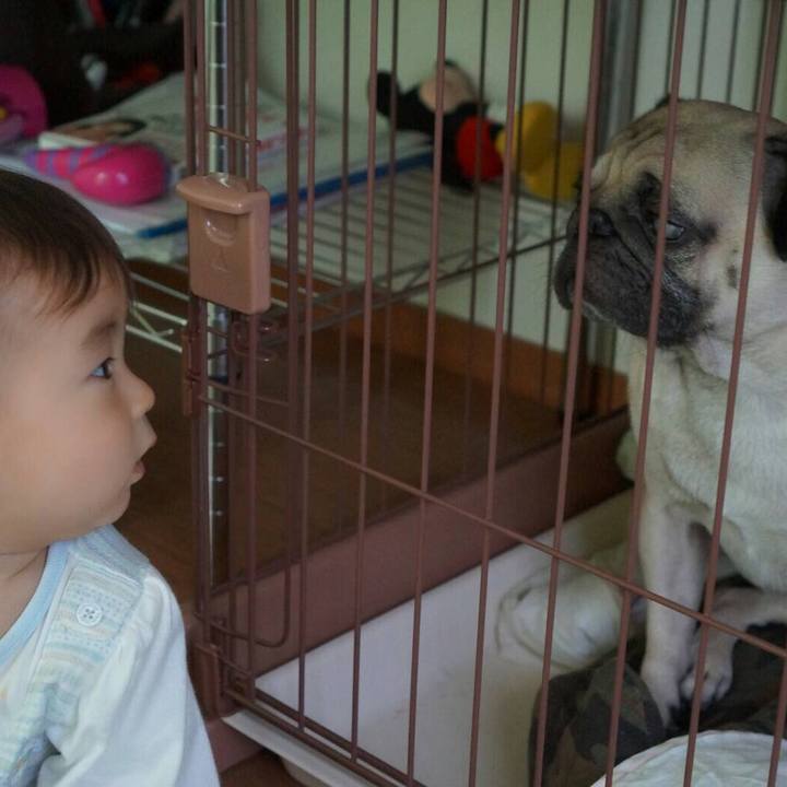 1188709f 2d9a 4d6e 9685 8ad61f5edf75