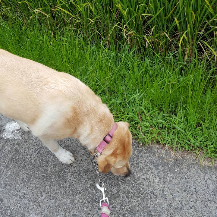 1188e736 50bd 41cd 9b38 64814cfb5f32