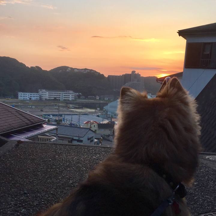 1188f9e9 9e4b 4412 a9d1 324124a56459