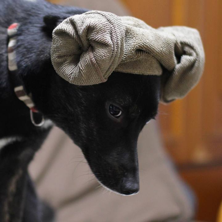 1188fb21 aa36 4463 a82f 1ff823ac6262