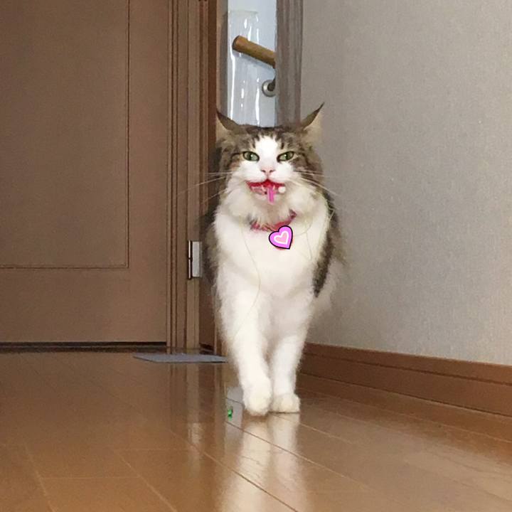 11890501 e818 44bd 884c d4af1060bf46