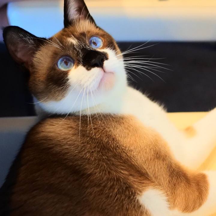 11891e97 33df 4785 9e31 a662a043ad6b