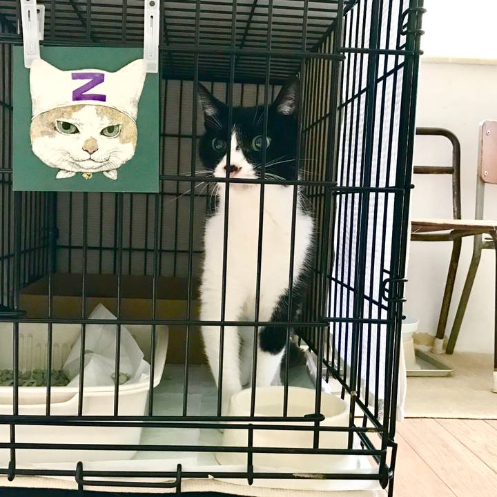 1189b376 3800 4583 a4f9 9e8b8294550b