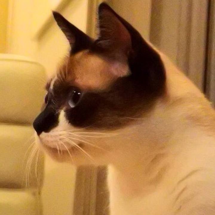 118a04f9 0c61 41d5 a5b9 e9c4d90ca66b