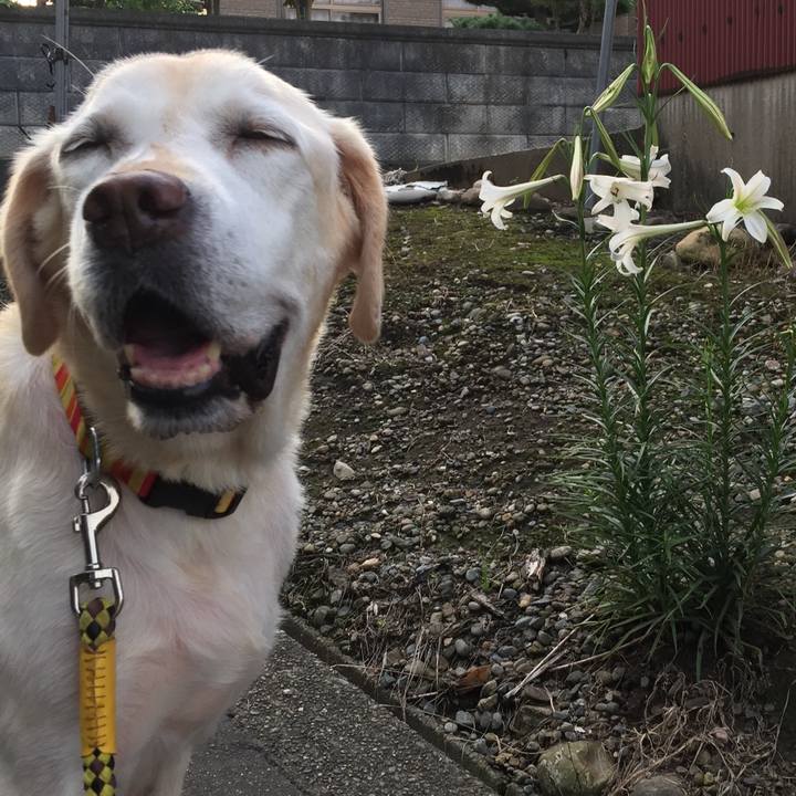 118acc48 fdc1 4e2d 8b29 aec8cdc53af7