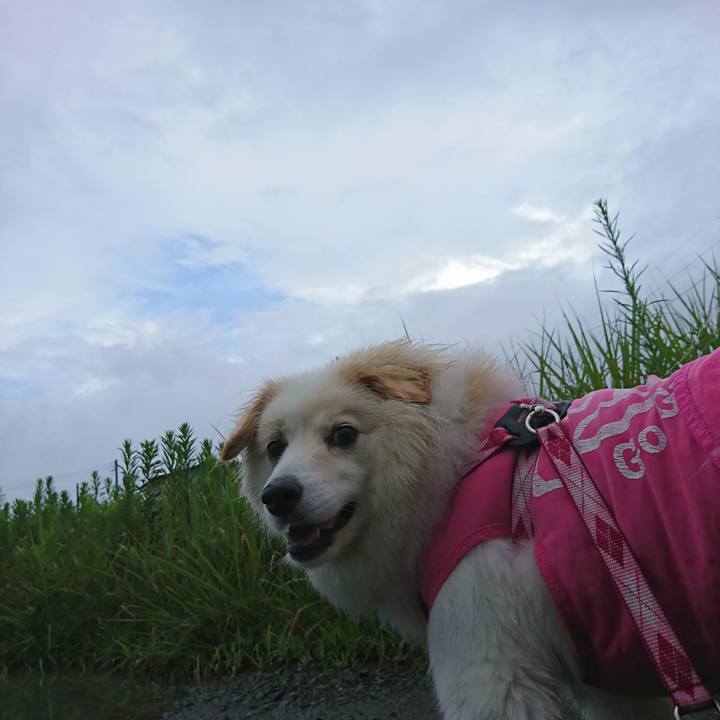 118b468f b67c 4d05 8fa7 7d10a30cd103