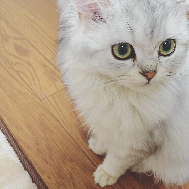 118b46b0 6529 4a0f 8288 6ff005fa29ad