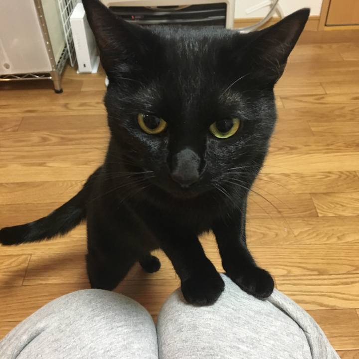 118c5a3d 7edc 4586 985b 55836308ab62