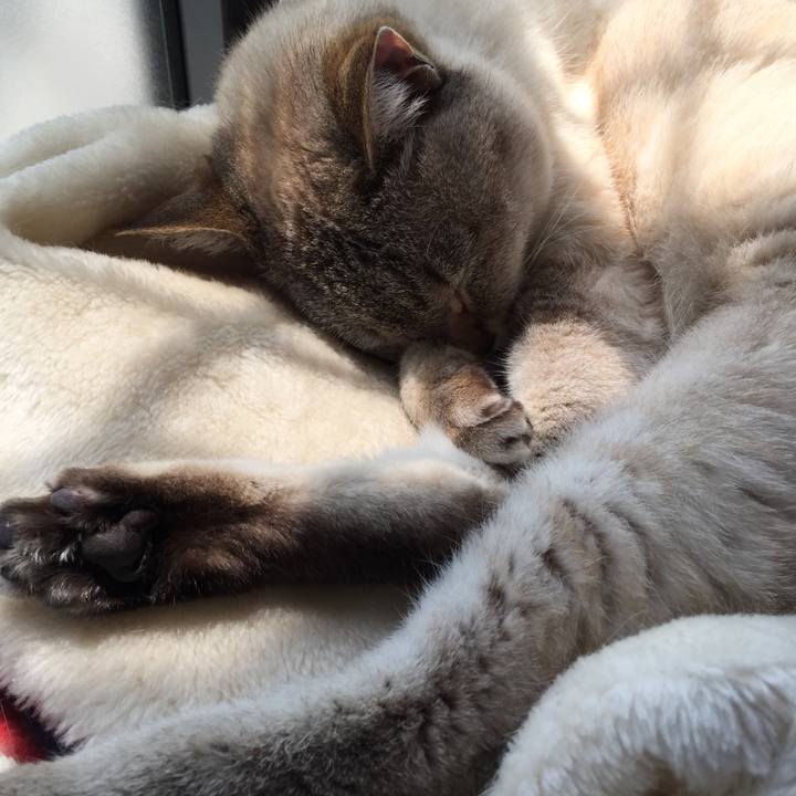 118c6317 4160 4015 a19f c0574c9dd0da