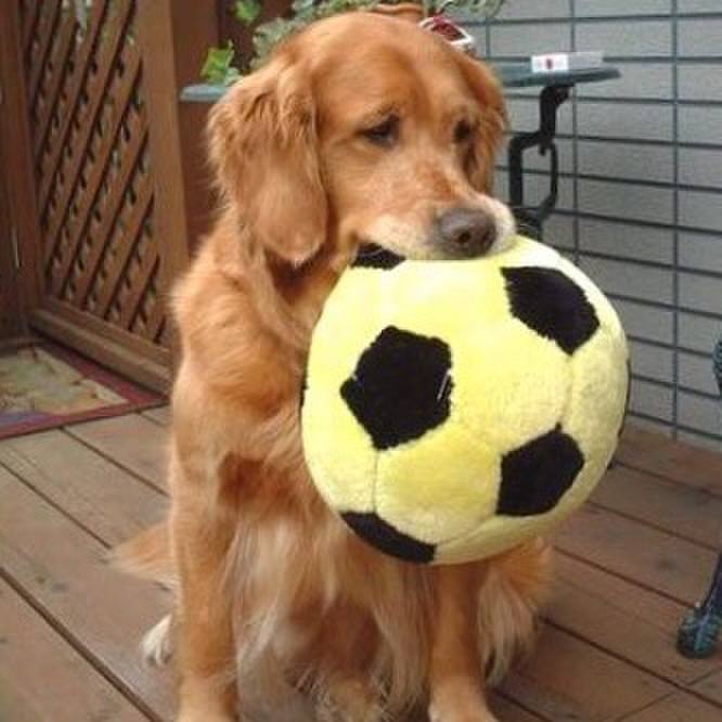 118c6b7d 3243 46c6 9cc4 bc3b5ba125da