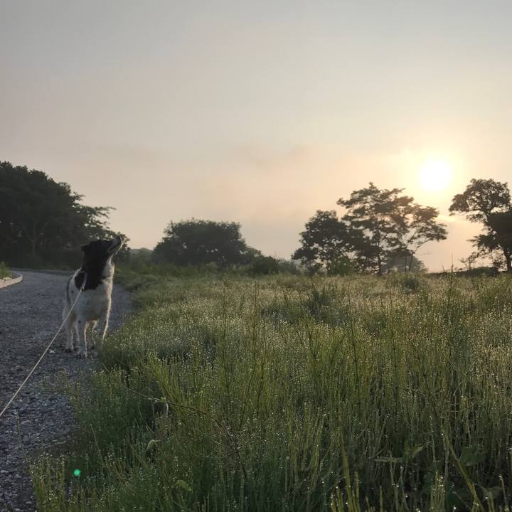 118cab6e d046 4f11 8f25 111d4d4635ae