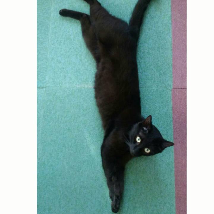 118d26d6 6aff 491e aecb 9b4a01a865ad