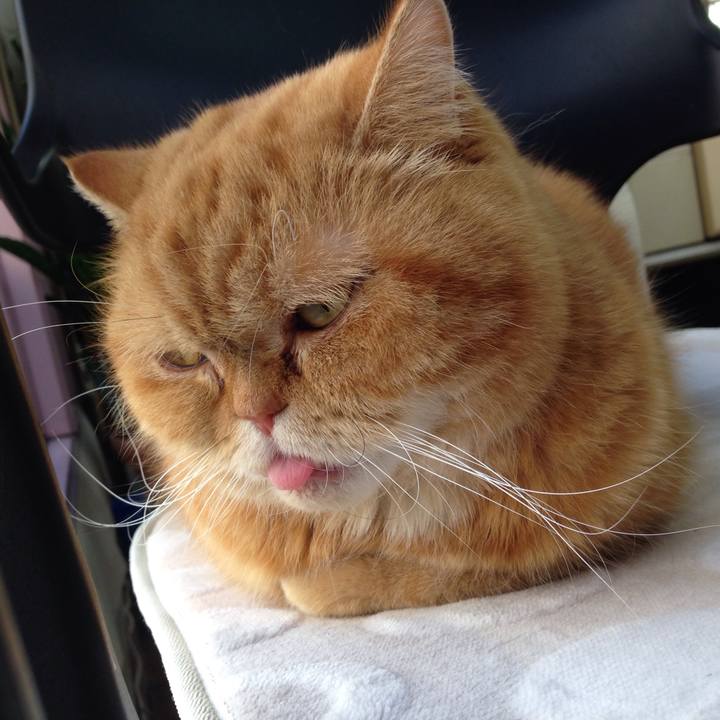 118d8055 3046 4ea5 9a8f 2639e2ea800c