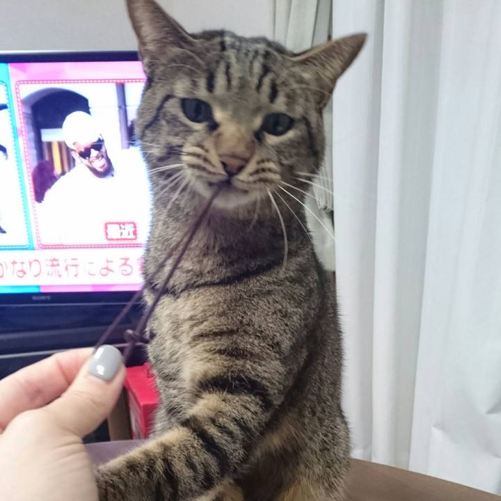 118e17a8 131a 40c5 ad23 3c472ed6b530