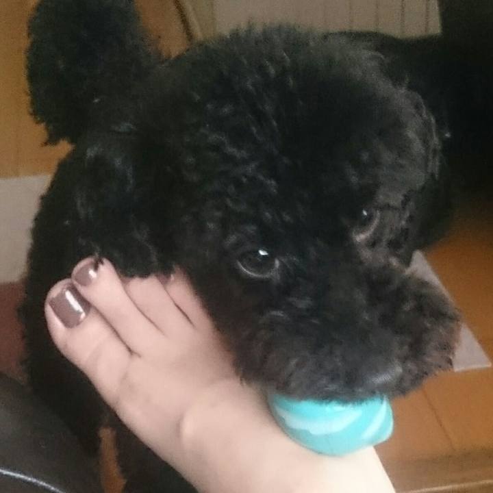 118e3003 3105 4438 8f50 8b05119b5eb3