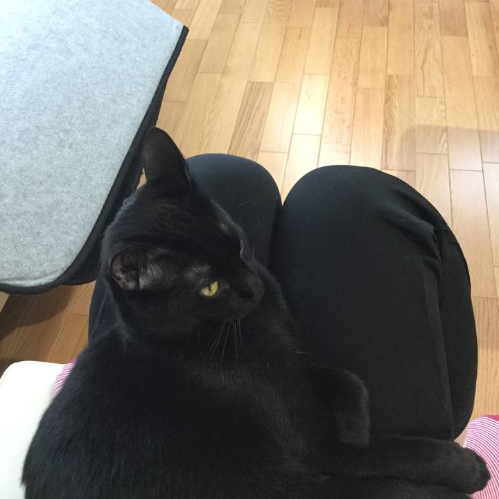 118e3ab9 df1c 457e 8f25 fac21676dafe