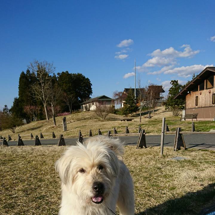 118eefb4 09b3 49f3 8084 feedd48ca6b3