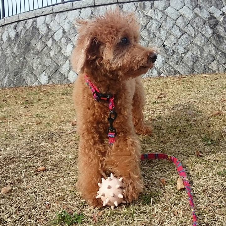 118fdc8e 7726 43b8 a033 a3ebcfcbea0e