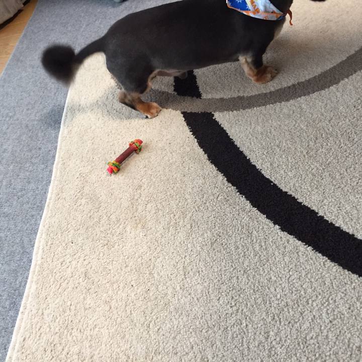 11905c01 bbc0 4bce b932 2184bdbf4729