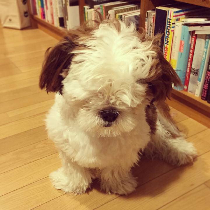 11906a13 e140 4a5f 851d c9fa9d109cf6