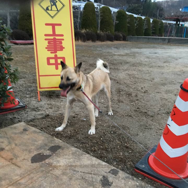 11906c8e 9932 4427 8232 591e36024a31