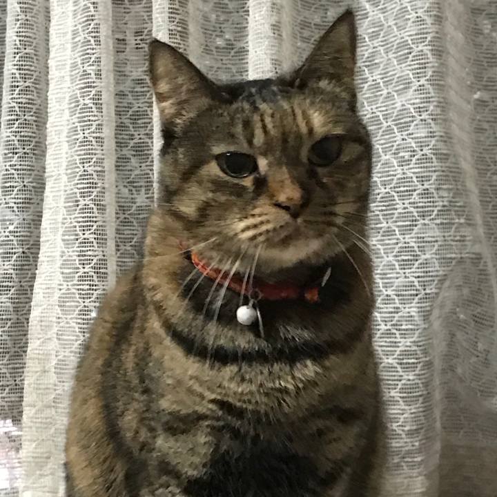 11907971 130d 4163 ace5 d47580dbda71