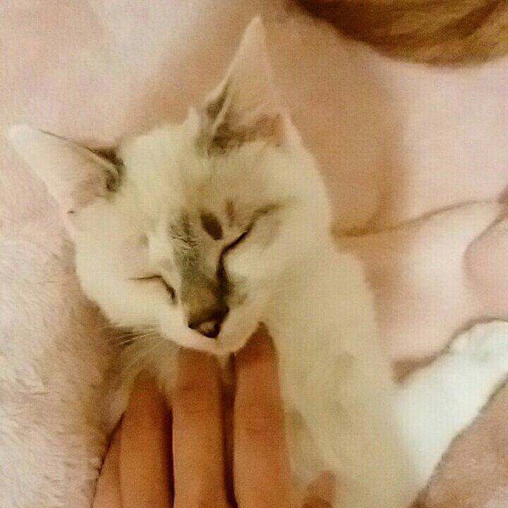 11910c6d 05c3 4dc3 9281 4bf1a3b146b2