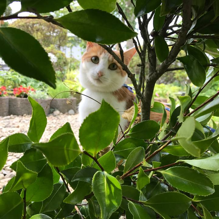 1191391b e4a9 43db a974 073de5fdcccf