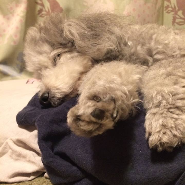 119152ea 768e 4556 a0d9 cdf82f3c1cb5