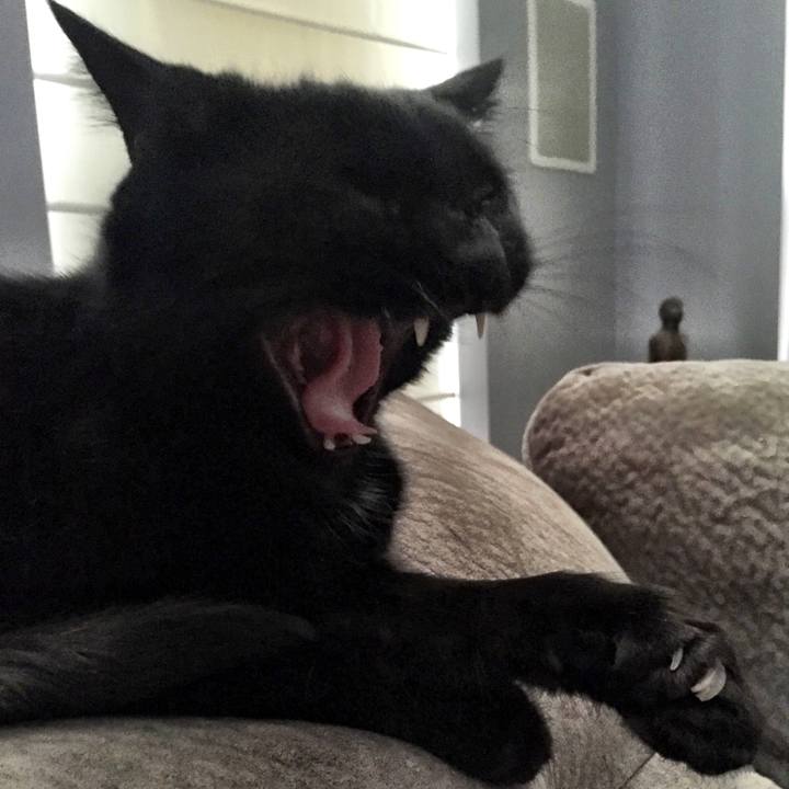 1191a7d0 90f2 45b3 8347 9bf5a7b31cdc