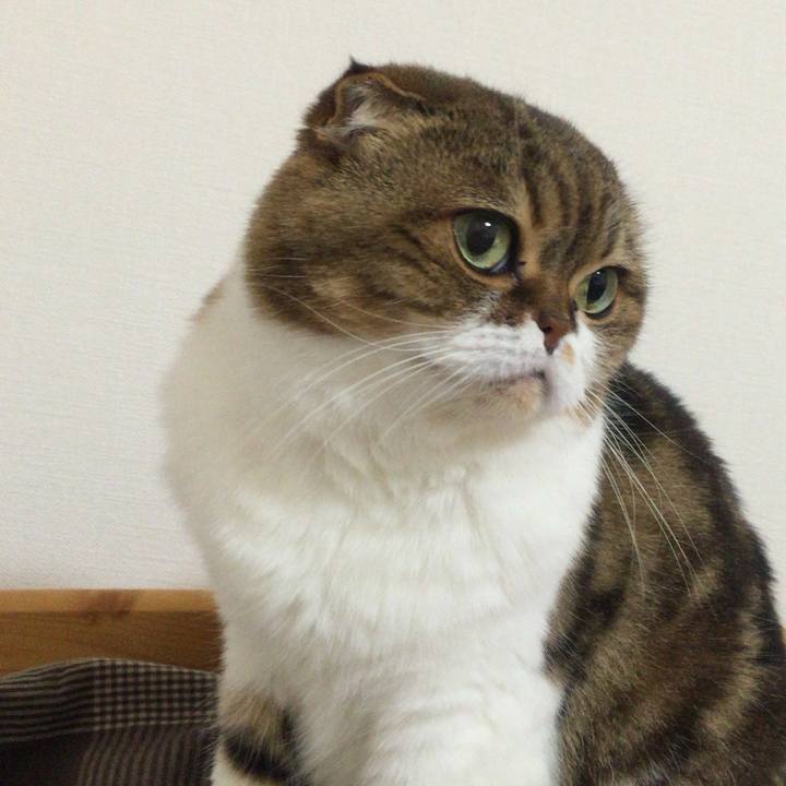 1191cd80 6a0b 4658 a987 ae6dbeed47e2