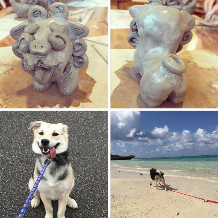 1191d4dc 1d20 4e40 af8e f57db8360943